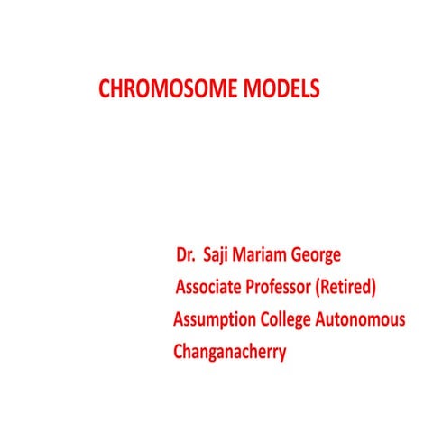 CHROMOSOME MODELS SMG | PPTX
