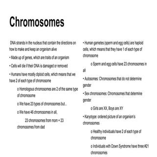 Chromosomes 