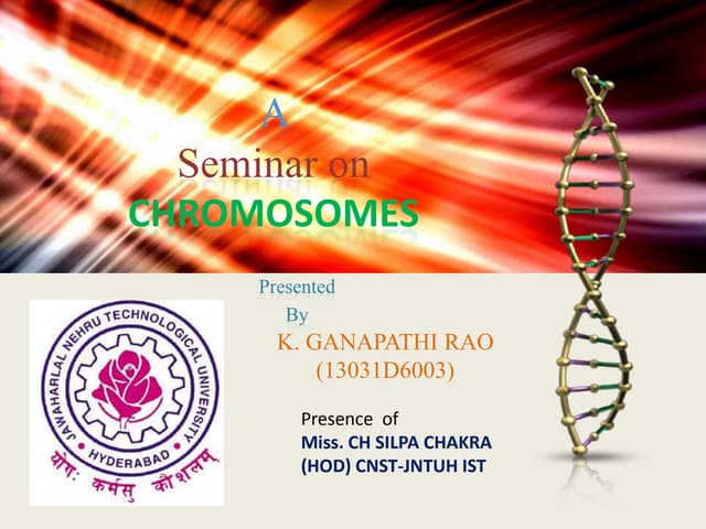 Chromosomes