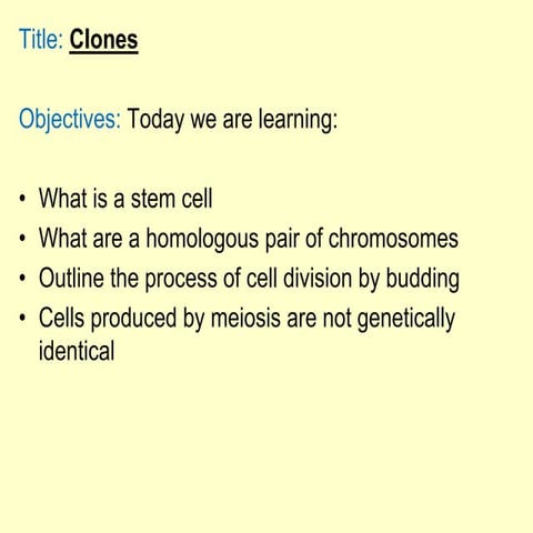 Chromosomes and the cell cycle 3