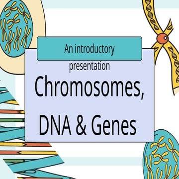 Chromosomes Dna And Genes Biology Presentation In A Bold Colorful