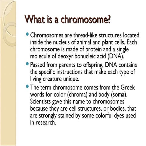 Chromosomes and cell cycle