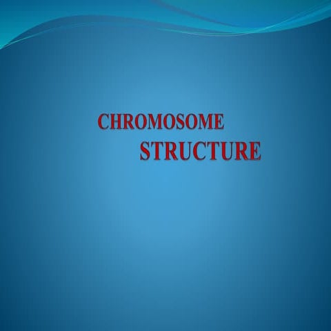 Chromosome structure