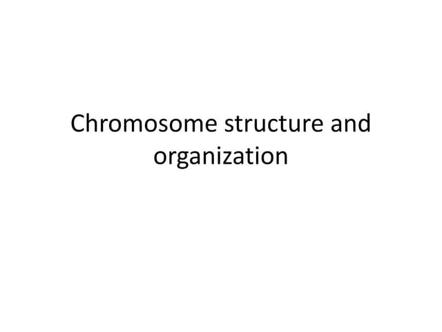 Chromosome Structure & Function | PPTX