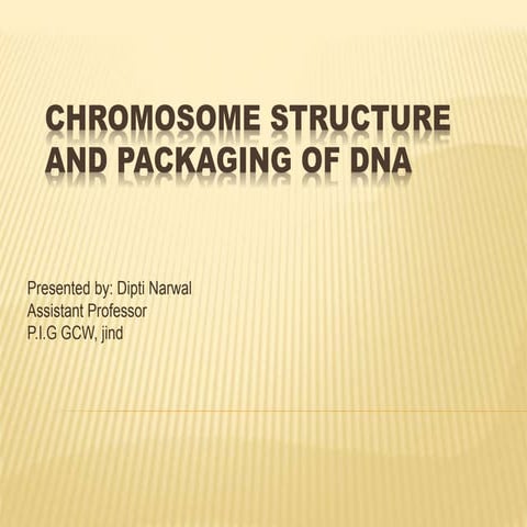 Chromosome structure and packaging of dna