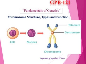 Chromosome Structure, Types and Function.pptx