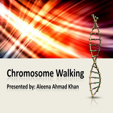 Chromosome walking