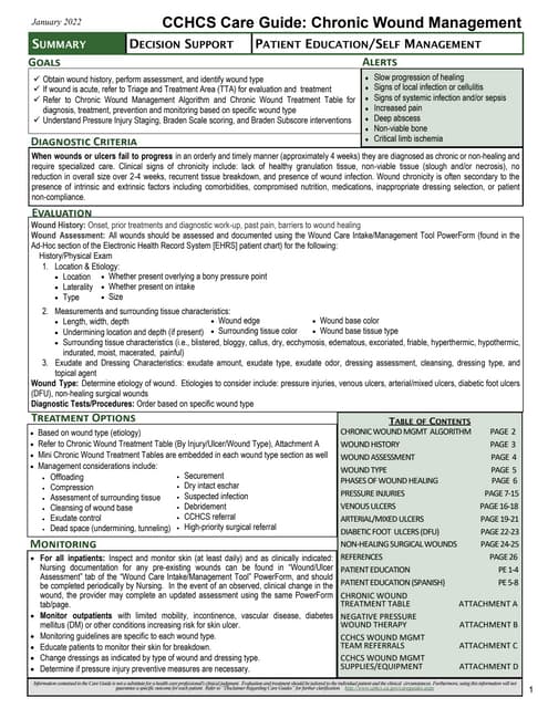Assessment Chart for Wound Management Patient ID Label | DOCX