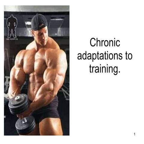 Chronic Adaptations To Training