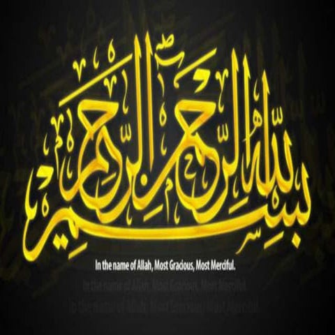 Chronic bacterial & viral meningoencephalitis (2)