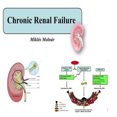 Pathophysiology of chronic kidney diseases.pptx