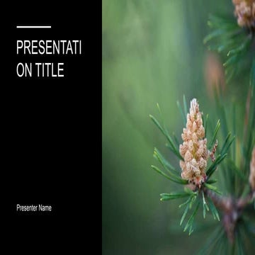 The design of Chronicle PowerPoint slide