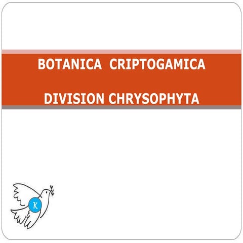 Chrysophyta