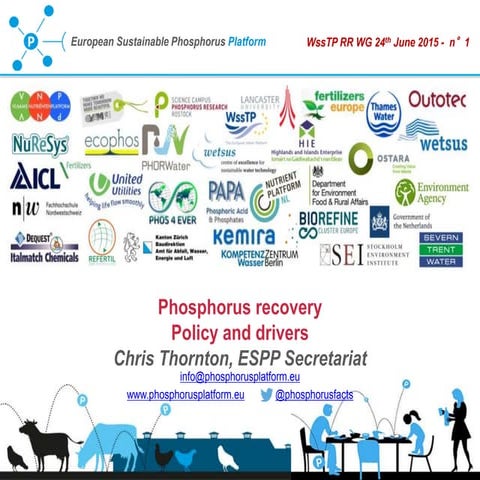 Phosphorus recovery: policy and drivers at WssTP Resource Recovery workgroup ...