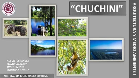 Flaviotababaryroca1 presentations