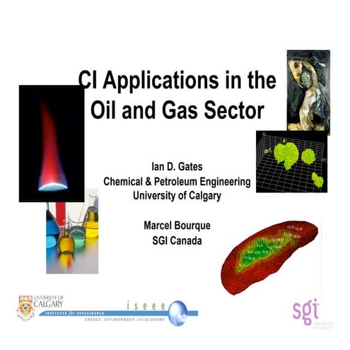 CI Applications in the Oil and Gas Sector