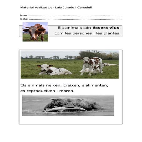 ELS ANIMALS. CICLE INICIAL.