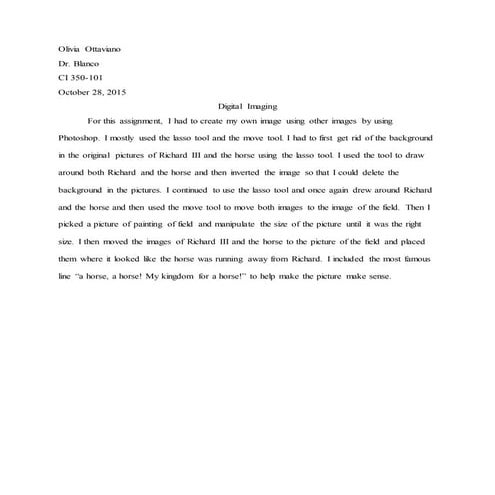 Ci 350 digital imaging narrative