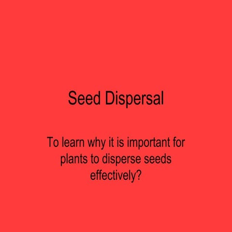 Ci 401 seed dispersal