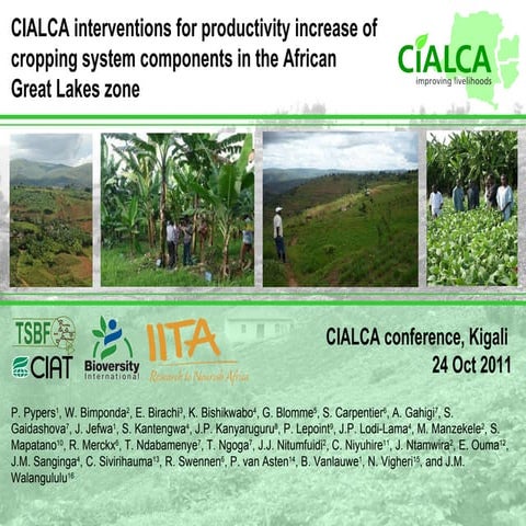Pypers/Blomme - CIALCA interventions for productivity increase of cropping sy...