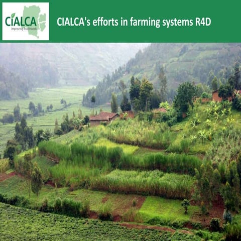 van Asten - CIALCA's efforts in farming systems R4D