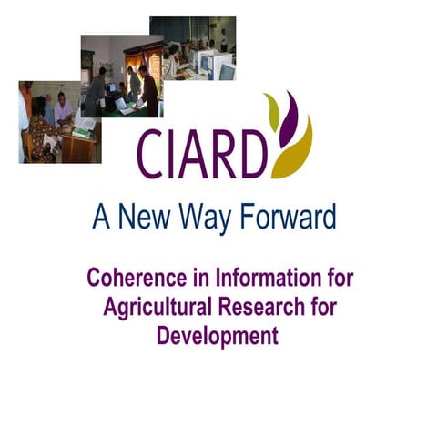 Coherence in Information for Agricultural Research for Development