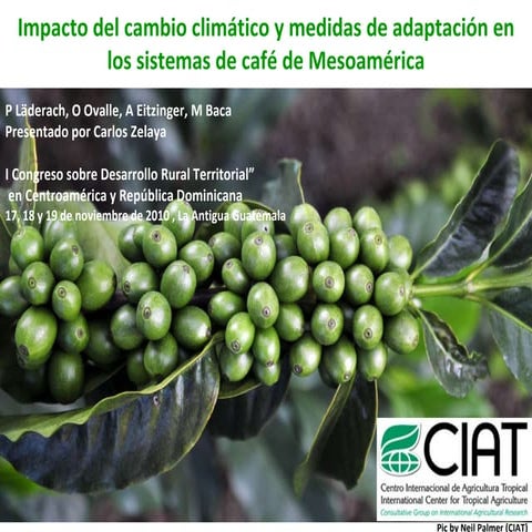 Ciat 2010 i congreso desarrollo rural territorial