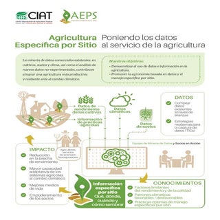 Agricultura Específica por Sitio: P...