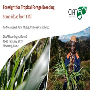 Breeding foresight workshop: Presentation by CIAT