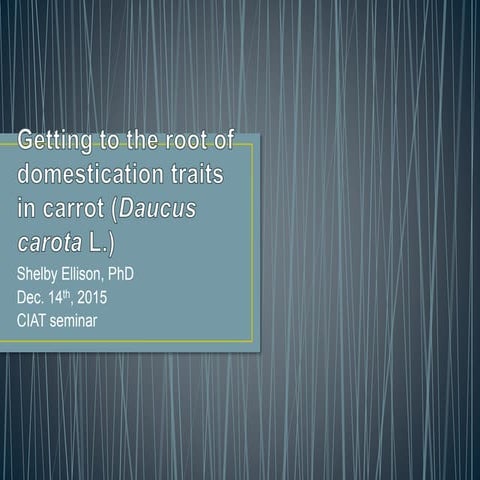 Getting to the root of domestication traits in carrot (Daucus carota L ...