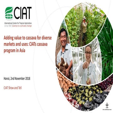 CIAT cassava program in Asia