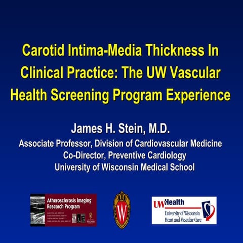 Stein   cimt for shape 11-05