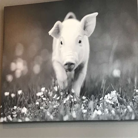 Keynote at the CIBC XX Design Challenge