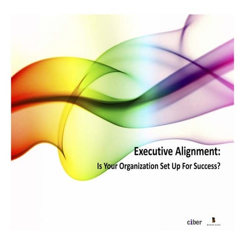 Ciber Executive Alignment Case Study