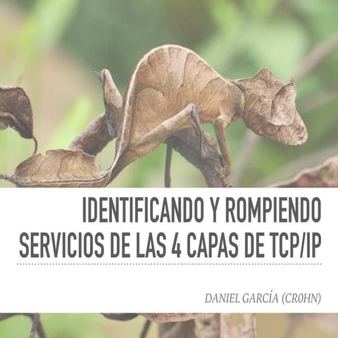 Identificando y rompiendo servicios de las 4 capas de TCP/IP