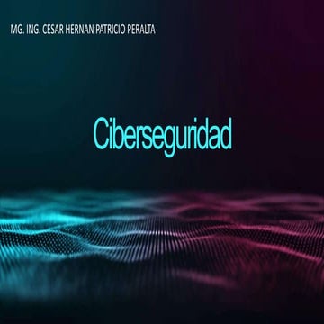 Ciberseguridad 