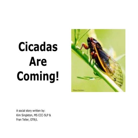 Cicadas are Coming! - a social story