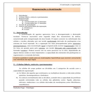 Cicatrização e reparo