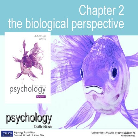 PSYC1101 - Chapter 2, 4th Edition PowerPoint