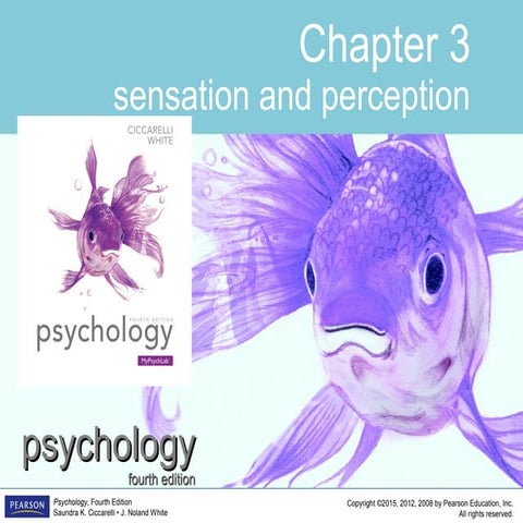 PSYC1101 - Chapter 3, 4th Edition PowerPoint
