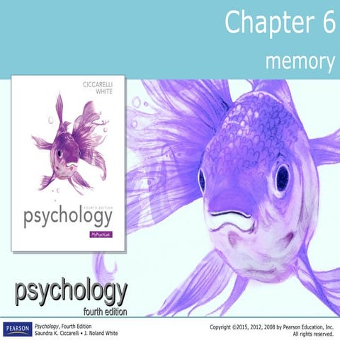 PSYC1101 - Chapter 6, 4th Edition PowerPoint
