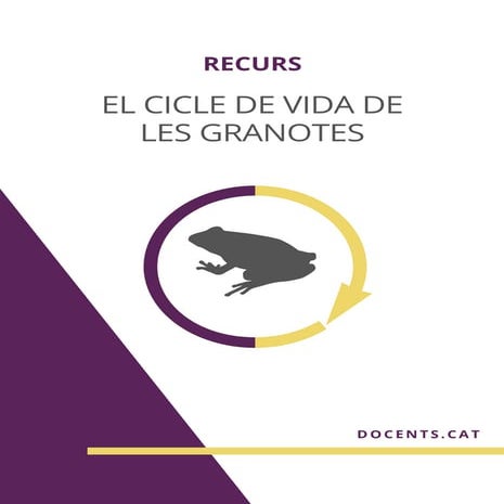 Cicle de vida de les granotes