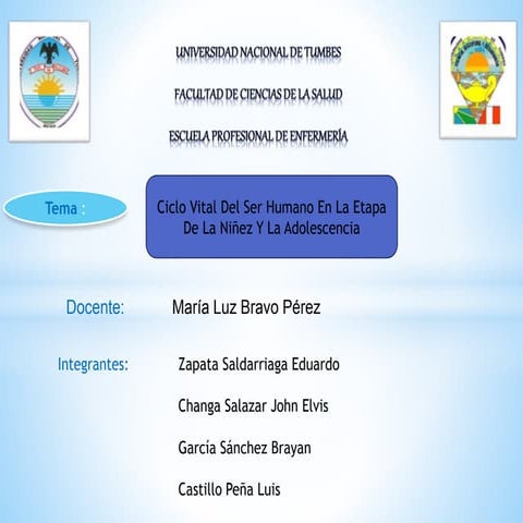 ciclo vital de la niñez y la adolescencia