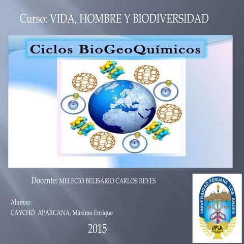 Ciclo biogeoquimico de los elementos
