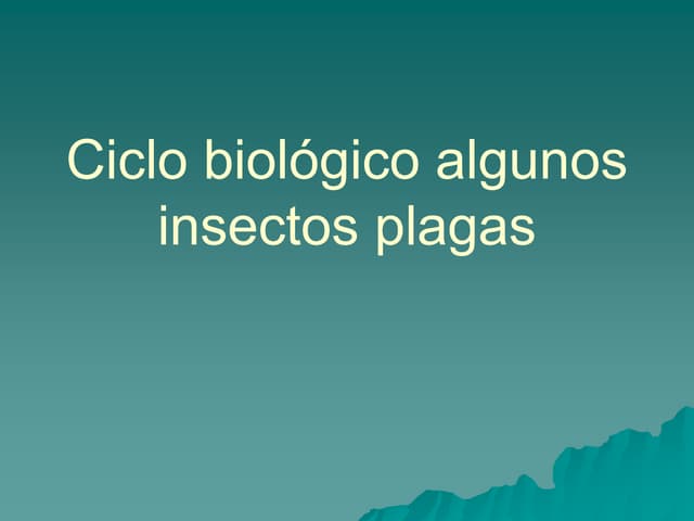 Ciclo biológico algunos insectos pl...