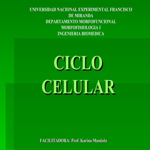 Ciclo Celular