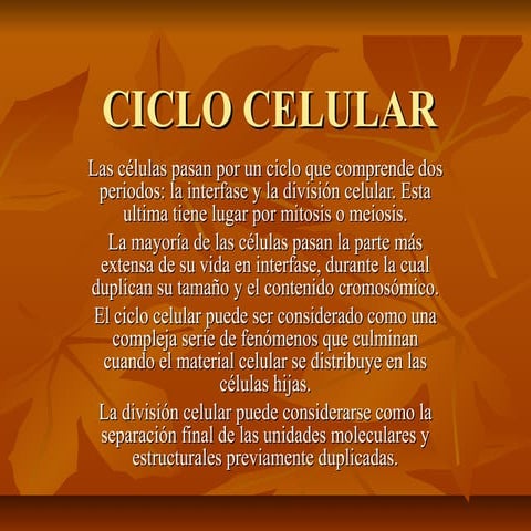 Ciclo celular
