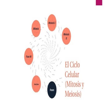 El (deity) visual data 7