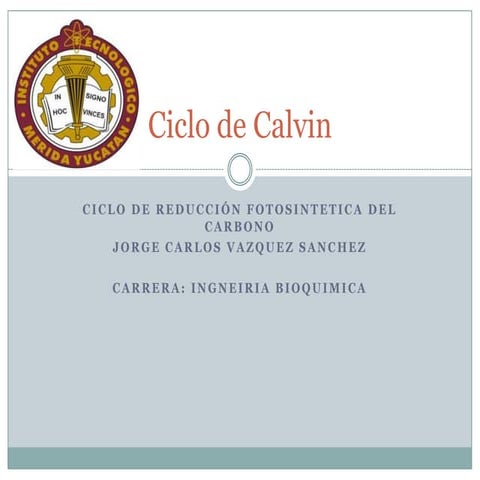 Ciclo de calvin