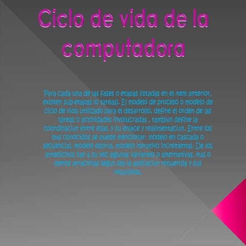 Ciclo de computadora Pau